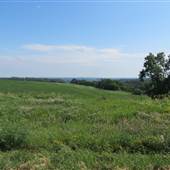 Rural Scenes West of Lansing