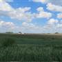 Rural Ames