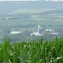 Rural Scenes from Dubuque Area.