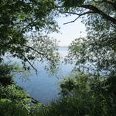 Clare Wilson Park