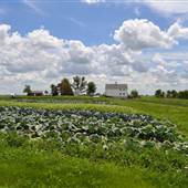 Wallace Centers of Iowa - 3 Organic Gardens