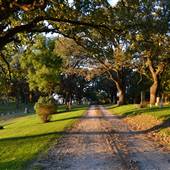 Coon Rapids - Cemetery