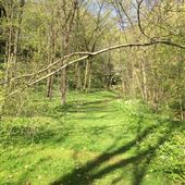 Dutton's Cave Park