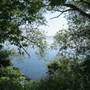 Clare Wilson Park