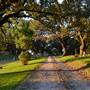 Coon Rapids - Cemetery