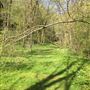 Dutton's Cave Park