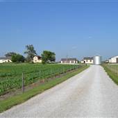 Williams Farm