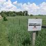 Tritle Century Farm