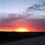 rural Audubon harvest sunset