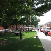 Triangle Park