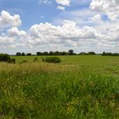 Wallace Centers of Iowa - 4 expansive views
