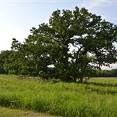 Lime Creek Nature Center