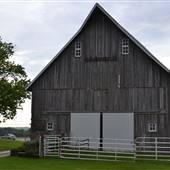 Tom Rooney Farm