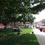 Triangle Park