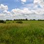 Wallace Centers of Iowa - 4 expansive views