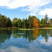 Crapo Park