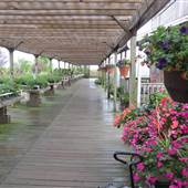 Groth Gardens