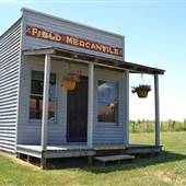 Madison Cnty Museum - Field Mercantile Store