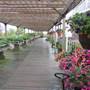 Groth Gardens